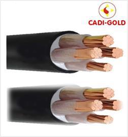 DÂY ĐIỆN DÂN DỤNG CADIGOLD